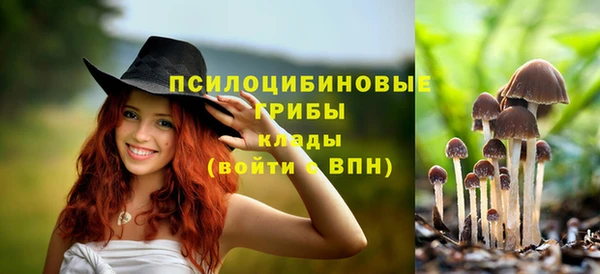 стафф Нязепетровск