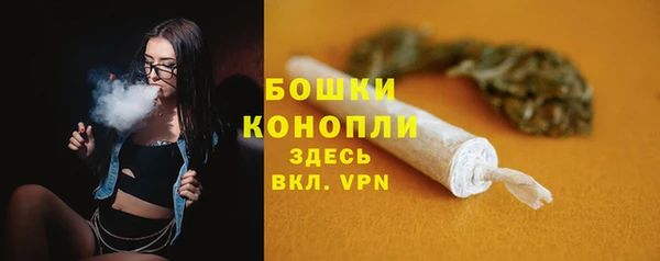 стаф Нягань