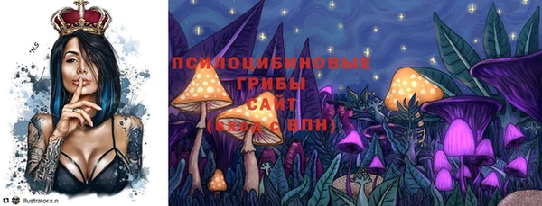 первитин Няндома