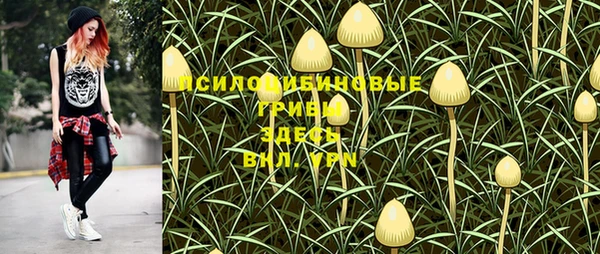первитин Няндома