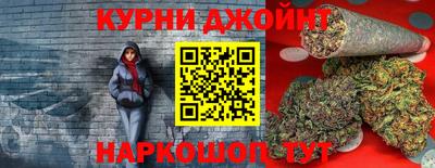 сатива Гусиноозёрск
