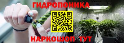 СК Балаково