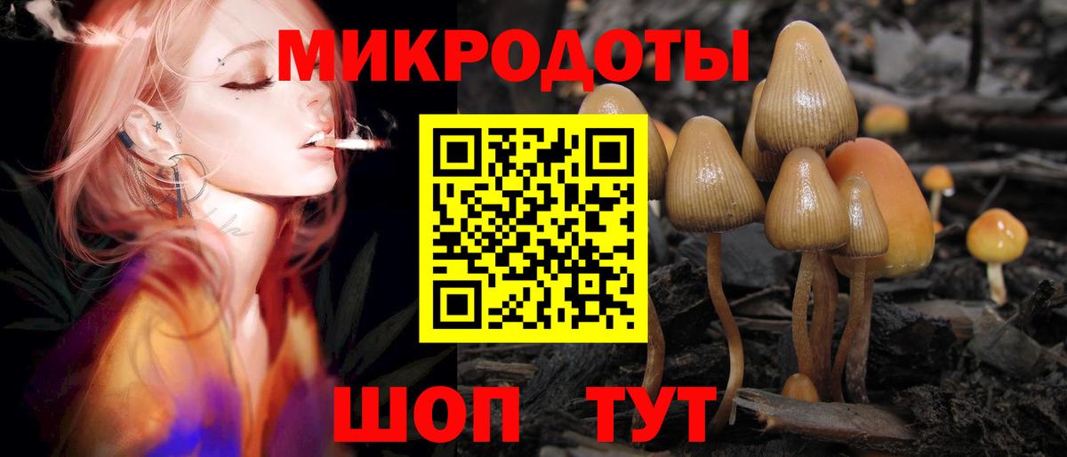 Галлюциногенные грибы Psilocybe  Вход с VPN  Краснокаменск  Псилоцибиновые грибы прущие грибы 
